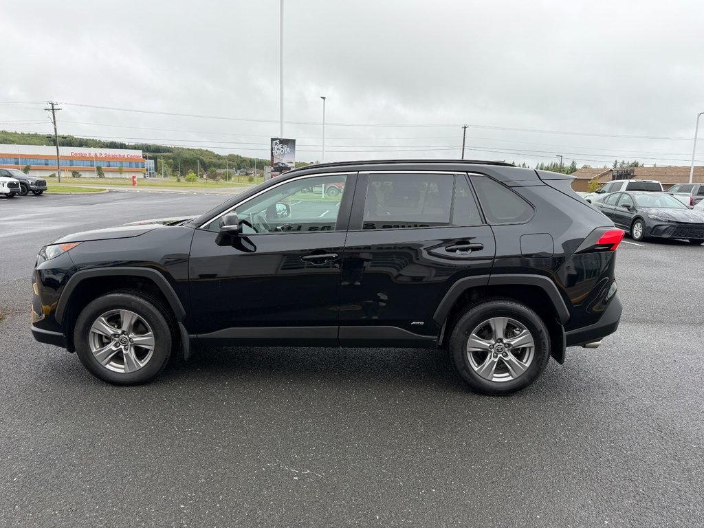 2024 Toyota RAV4 Hybrid LE in Grand Falls, New Brunswick - 6 - w1024h768px