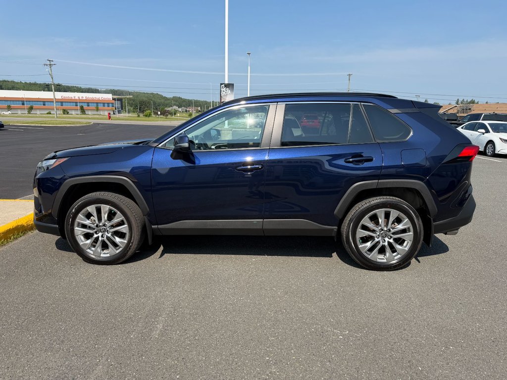 2025 Toyota RAV4 XLE in Grand Falls, New Brunswick - 6 - w1024h768px