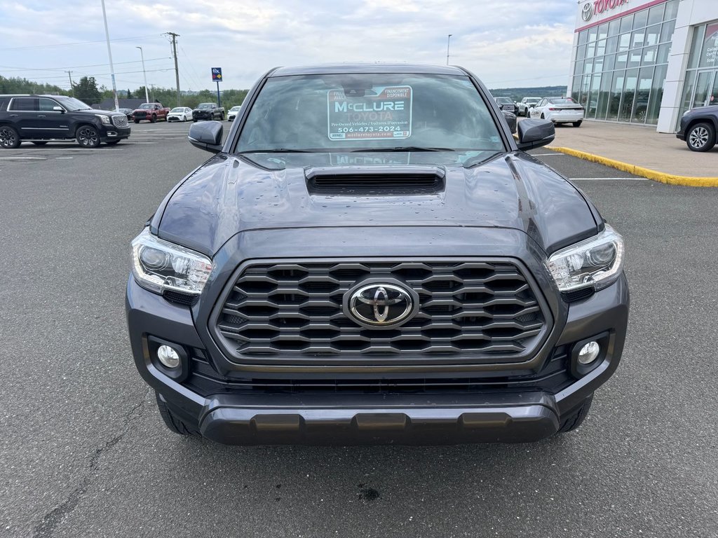 2020  Tacoma DOUBLE CAB 6A in Grand Falls, New Brunswick - 9 - w1024h768px