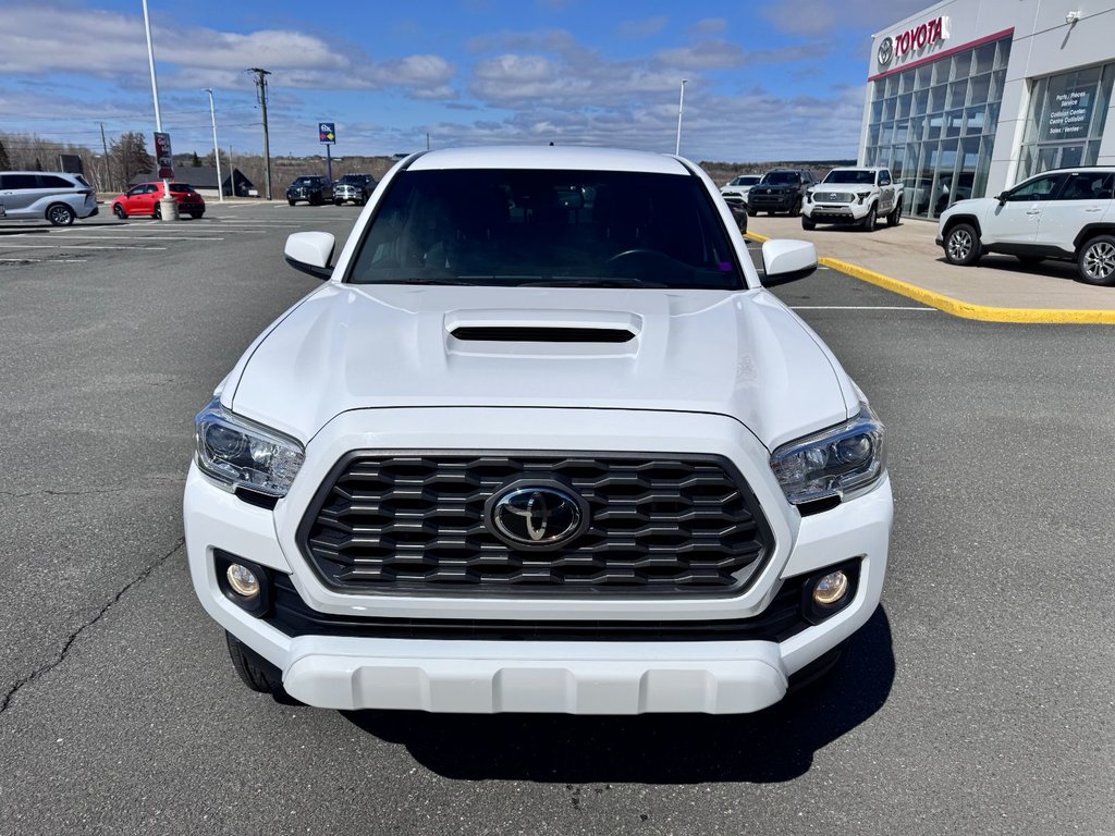 2021 Toyota Tacoma TRD SPORT in Grand Falls, New Brunswick - 8 - w1024h768px