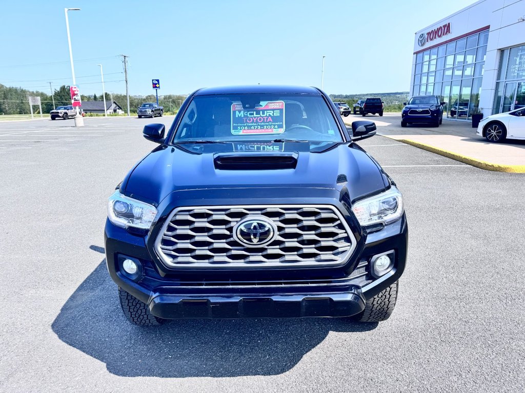 2022 Toyota Tacoma TRD SPORT in Grand Falls, New Brunswick - 8 - w1024h768px