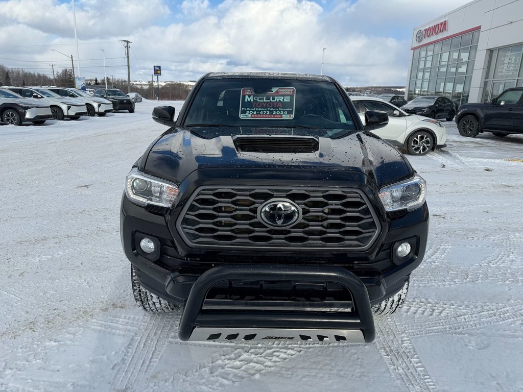 2023 Toyota Tacoma TRD SPORT PREMIUM in Grand Falls, New Brunswick - 8 - w1024h768px