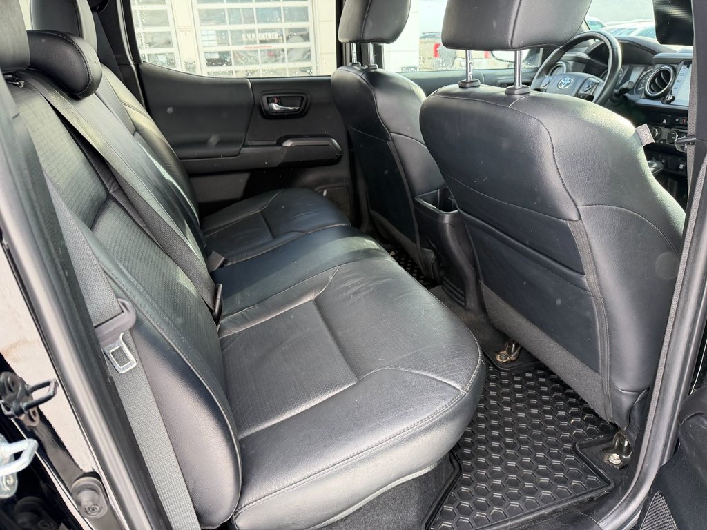 2023 Toyota Tacoma TRD SPORT PREMIUM in Grand Falls, New Brunswick - 11 - w1024h768px