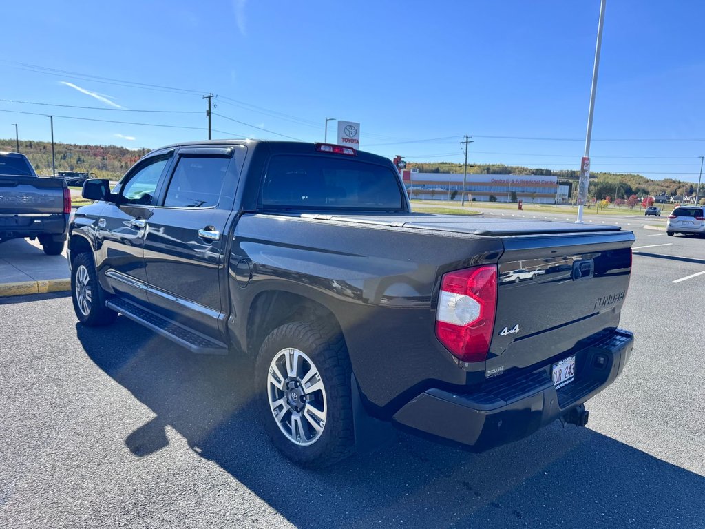 2018 Toyota Tundra Platinum in Grand Falls, New Brunswick - 5 - w1024h768px