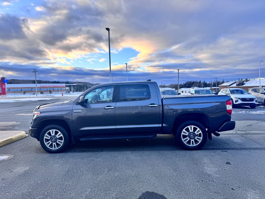 2020 Toyota Tundra Platinum in Grand Falls, New Brunswick - 6 - w1024h768px