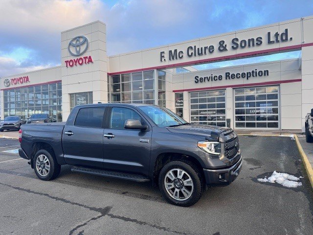 2020 Toyota Tundra Platinum in Grand Falls, New Brunswick - 1 - w1024h768px