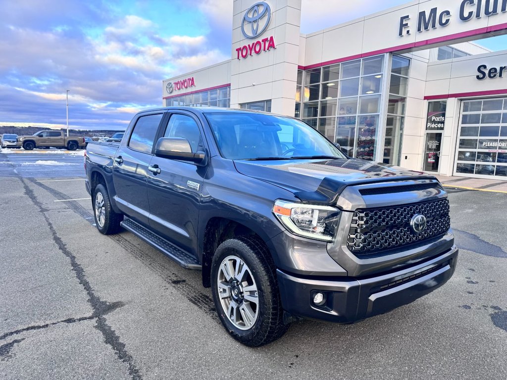 2020 Toyota Tundra Platinum in Grand Falls, New Brunswick - 9 - w1024h768px