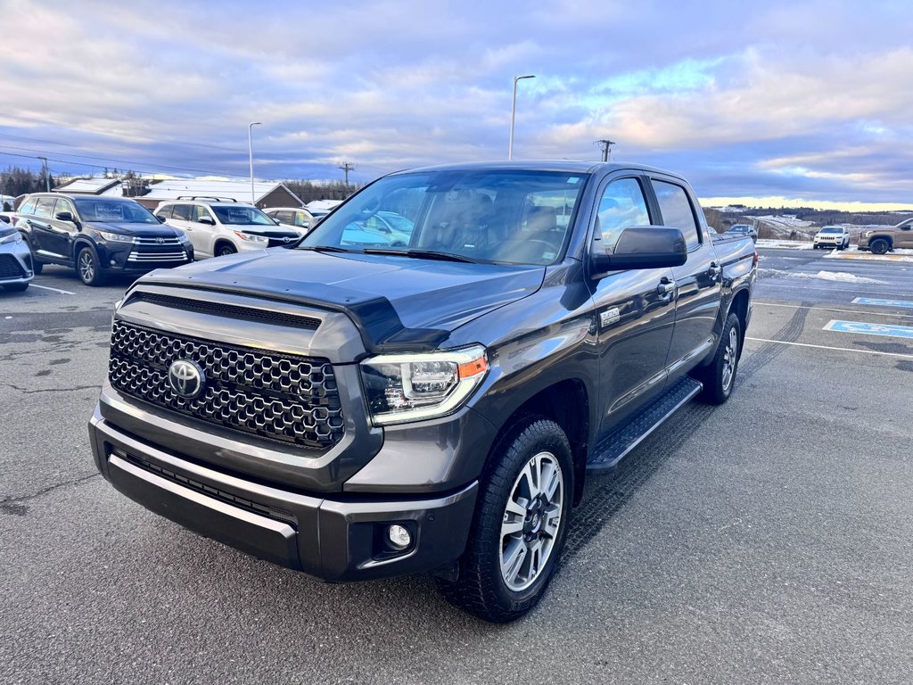 2020 Toyota Tundra Platinum in Grand Falls, New Brunswick - 7 - w1024h768px
