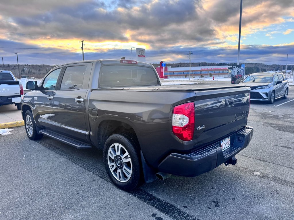 2020 Toyota Tundra Platinum in Grand Falls, New Brunswick - 5 - w1024h768px