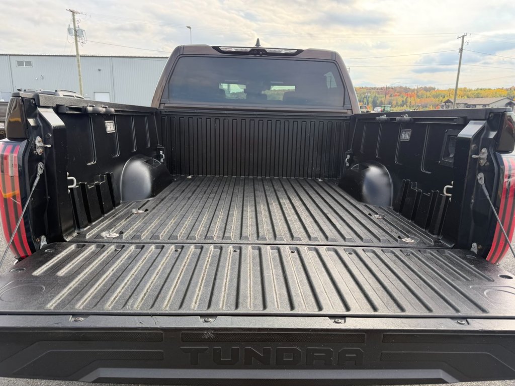 Toyota Tundra Platinum 2023 à Grand-Sault, Nouveau-Brunswick - 13 - w1024h768px