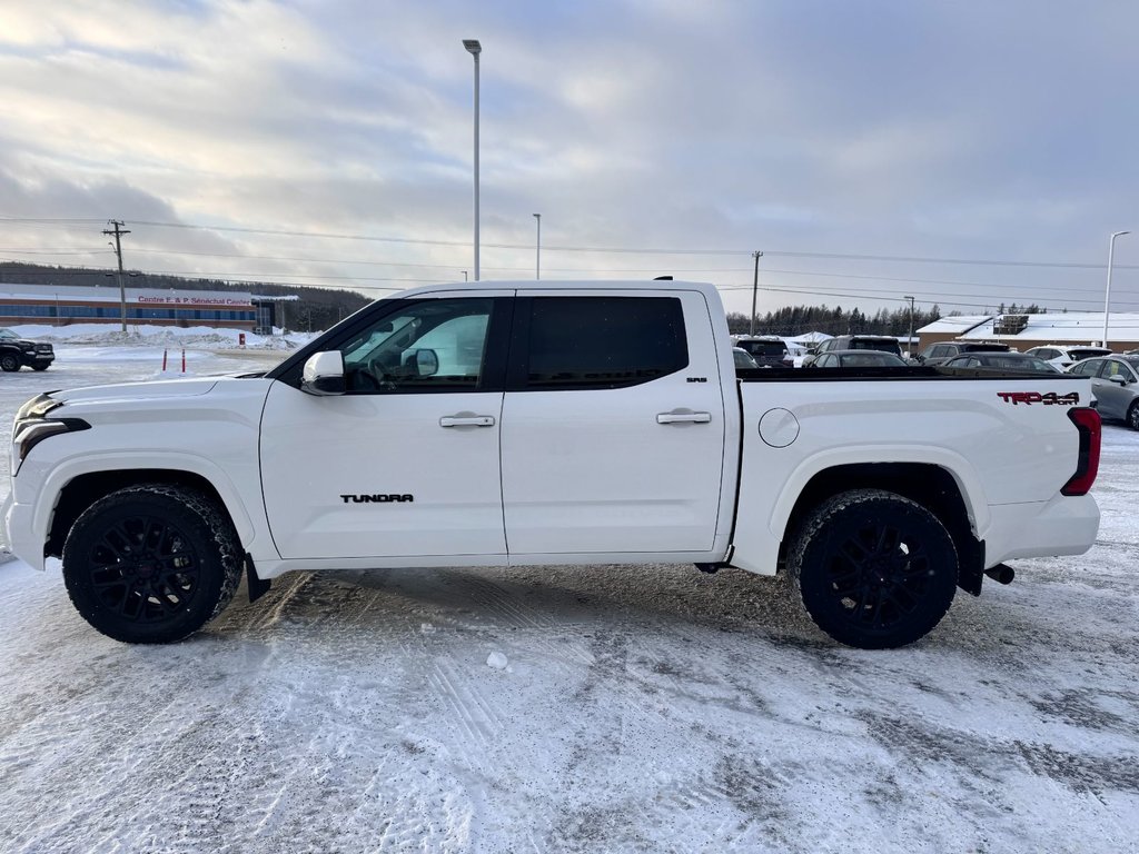 2024 Toyota Tundra SPORT in Grand Falls, New Brunswick - 6 - w1024h768px