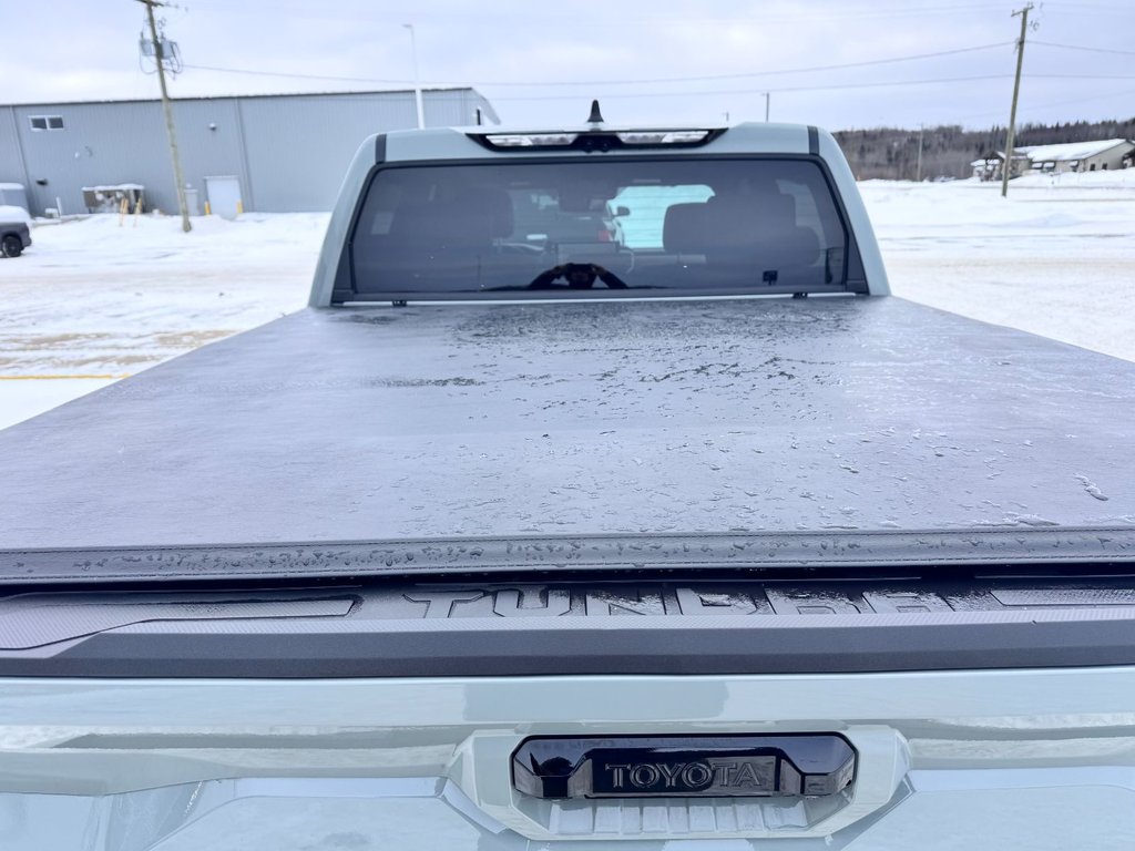 2026 Toyota Tundra TRD offroad Limited in Grand Falls, New Brunswick - 12 - w1024h768px