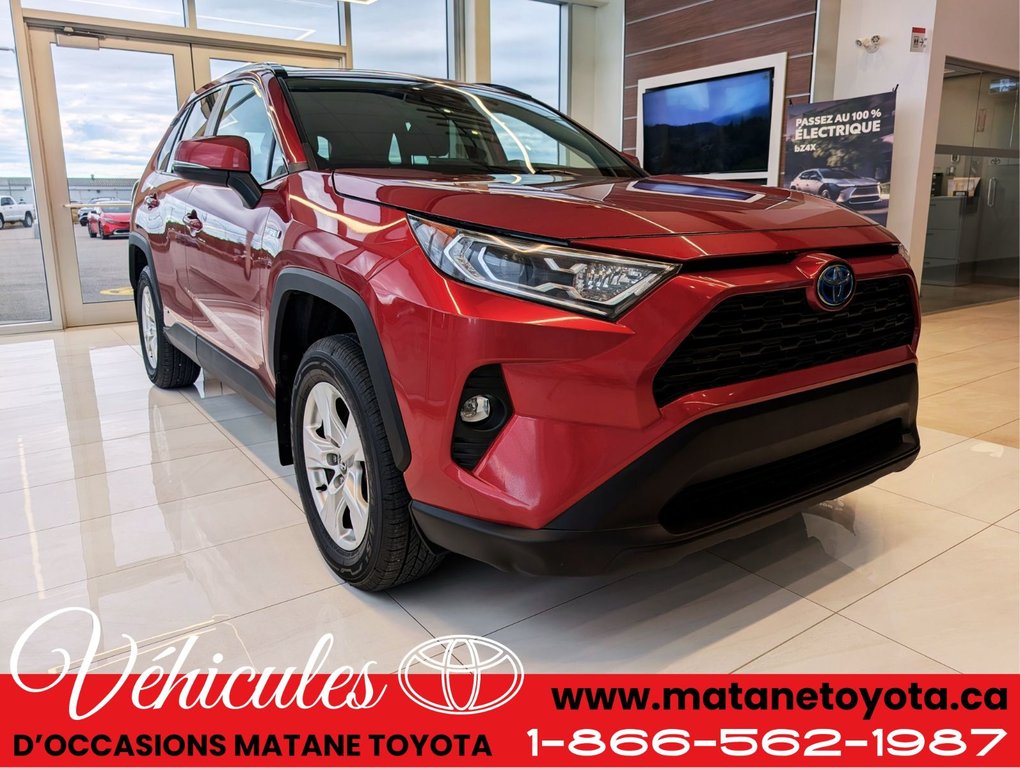 2019 Toyota RAV4 Hybride XLE AWD in Matane, Quebec - 3 - w1024h768px