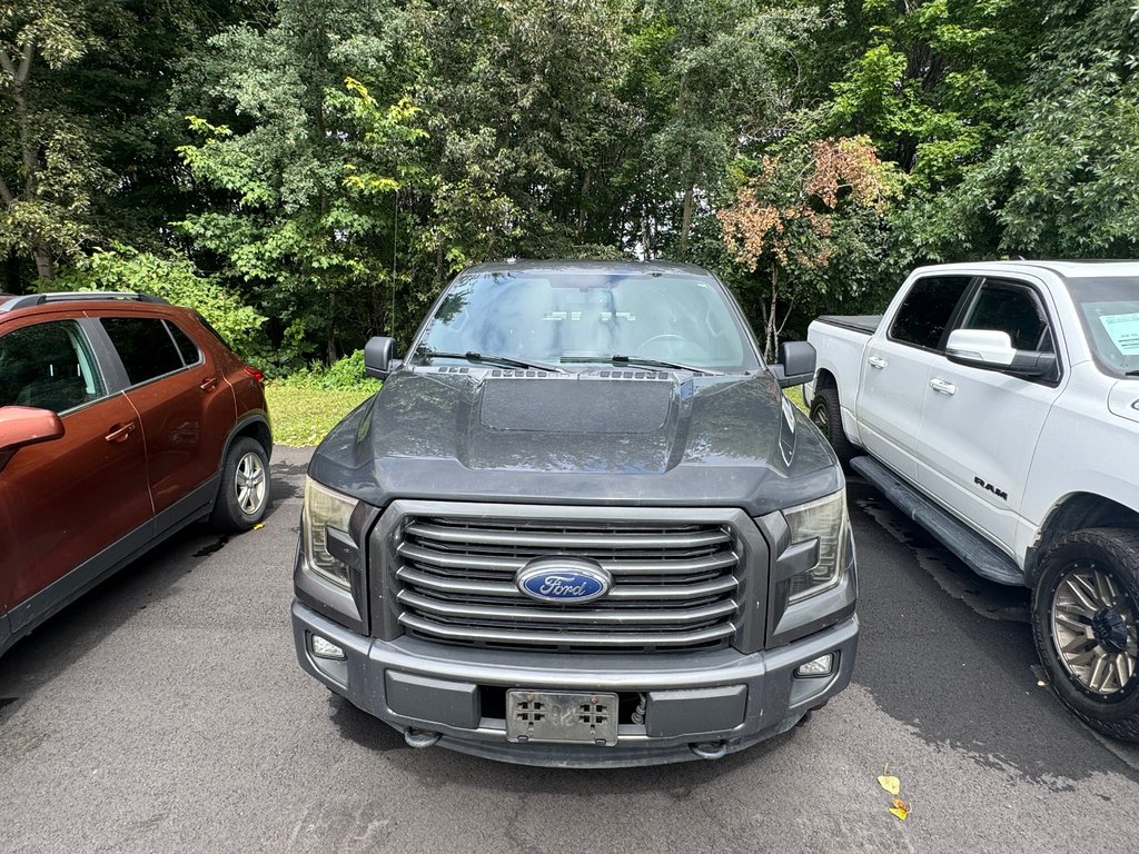 2016 Ford F-150 XLT in Sturgeon Falls, Ontario - 6 - w1024h768px