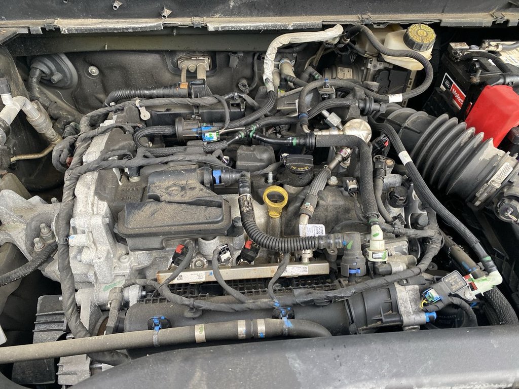 2021 Ford Bronco Sport Big Bend in Alliston, Ontario - 25 - w1024h768px