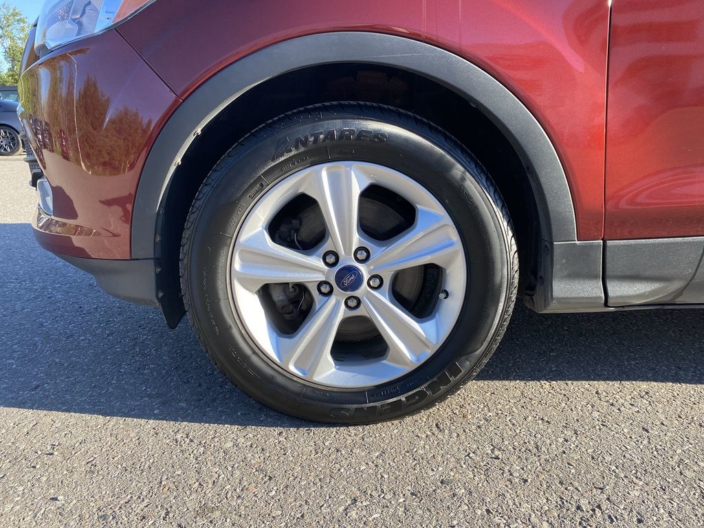 2016 Ford Escape SE in Alliston, Ontario - 10 - w1024h768px