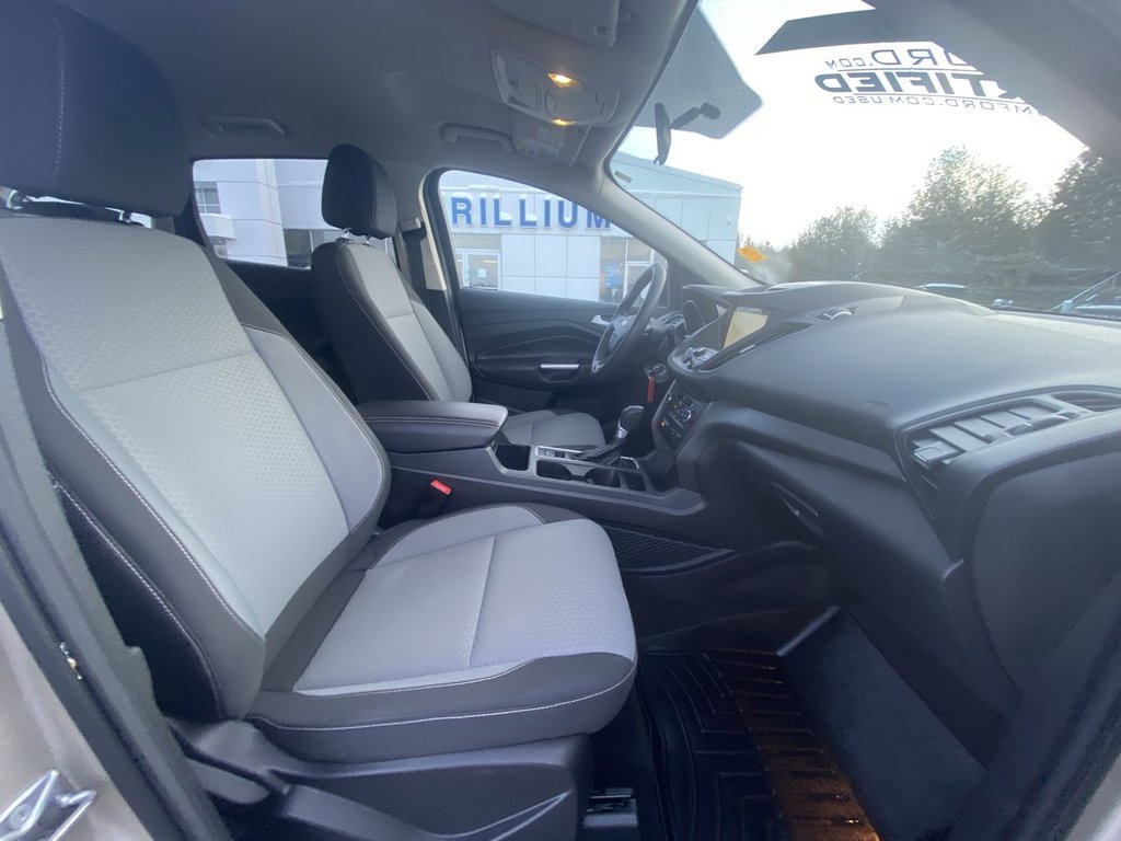 2017 Ford Escape SE in Alliston, Ontario - 24 - w1024h768px