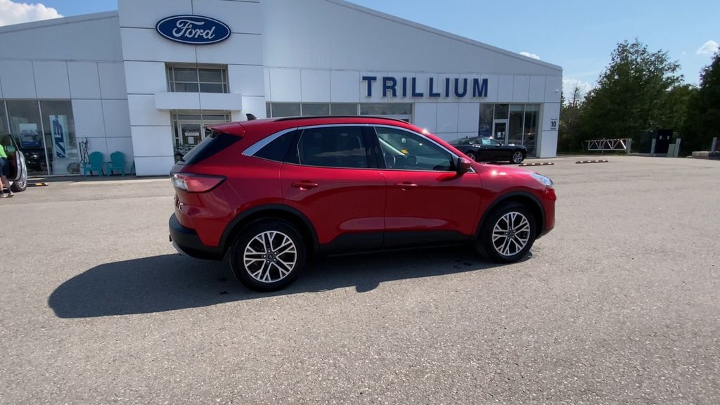 Ford Escape SEL 2020 à Alliston, Ontario - 9 - w1024h768px