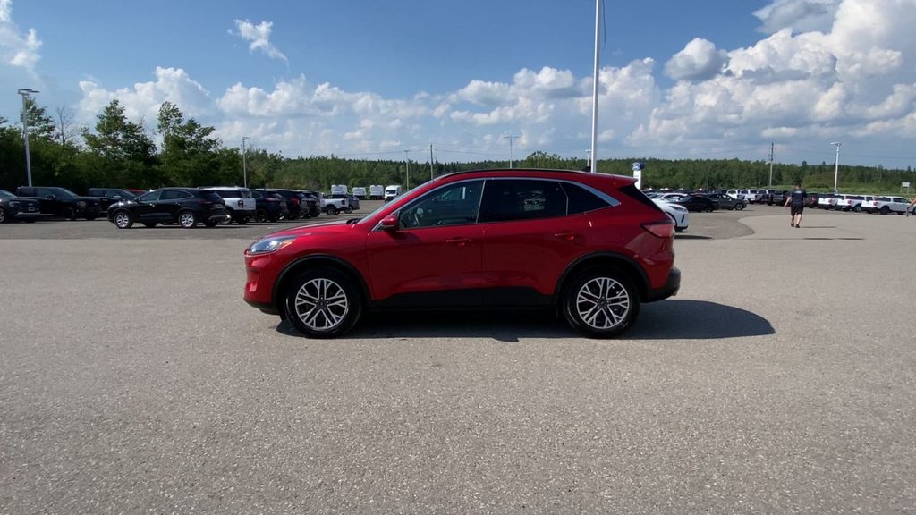 Ford Escape SEL 2020 à Alliston, Ontario - 5 - w1024h768px
