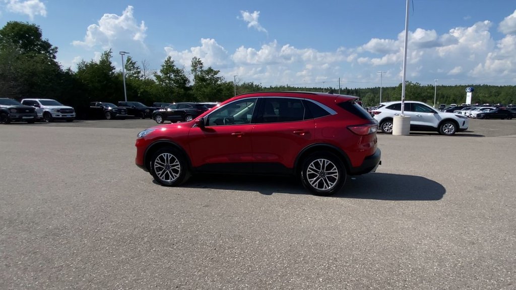 Ford Escape SEL 2020 à Alliston, Ontario - 6 - w1024h768px