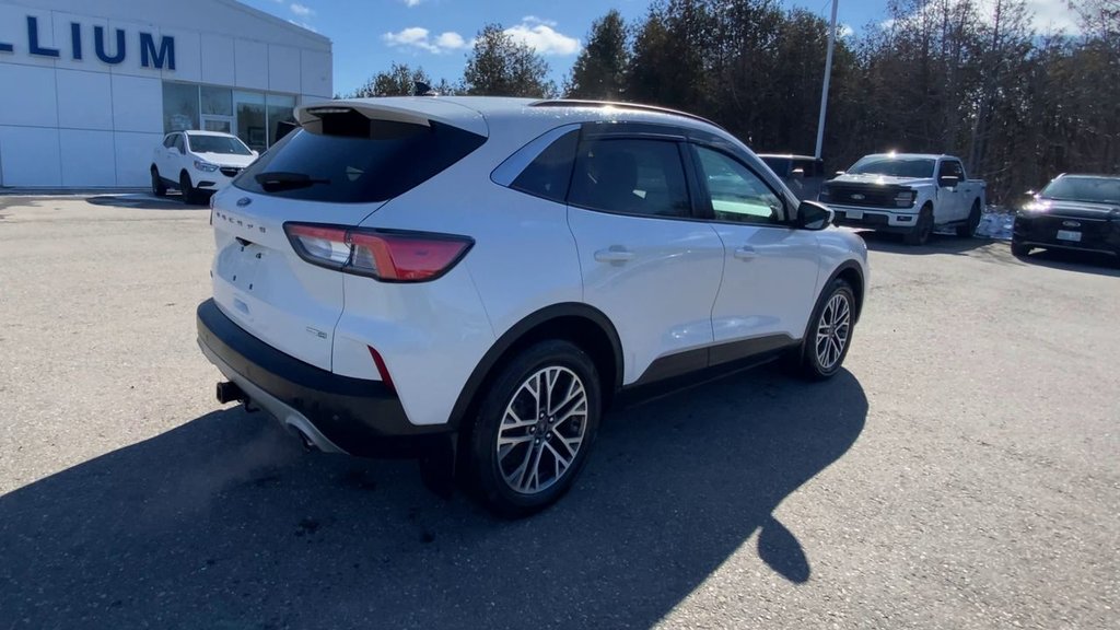 Ford Escape SEL 2020 à Alliston, Ontario - 8 - w1024h768px