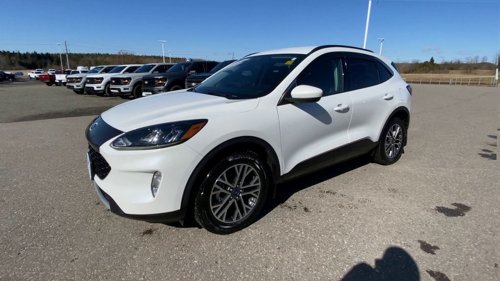 Ford Escape SEL 2020 à Alliston, Ontario - 4 - w1024h768px