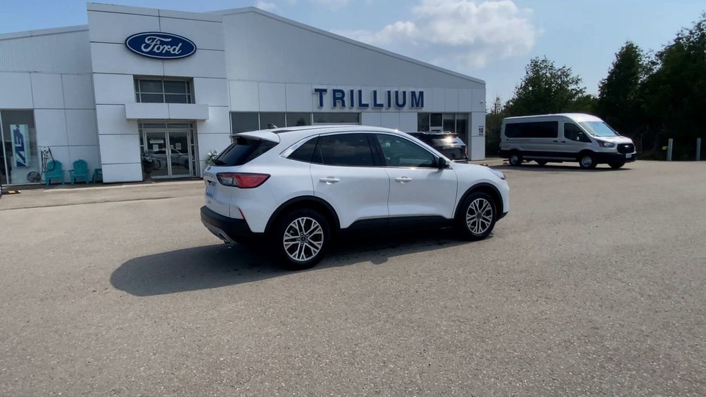Ford Escape SEL 2022 à Alliston, Ontario - 9 - w1024h768px