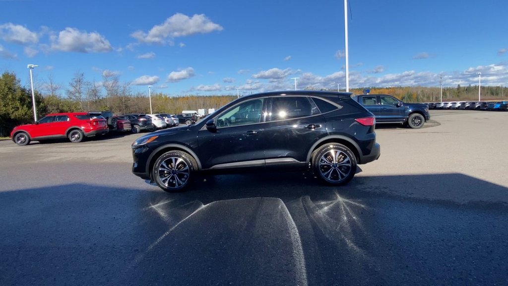 Ford Escape SE 2022 à Alliston, Ontario - 5 - w1024h768px