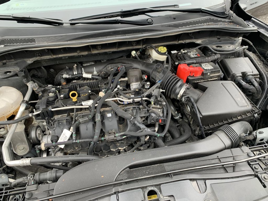 Ford Escape SEL 2022 à Alliston, Ontario - 25 - w1024h768px