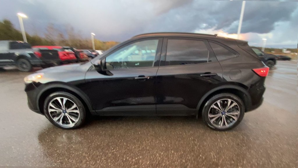2022 Ford Escape SEL in Alliston, Ontario - 5 - w1024h768px