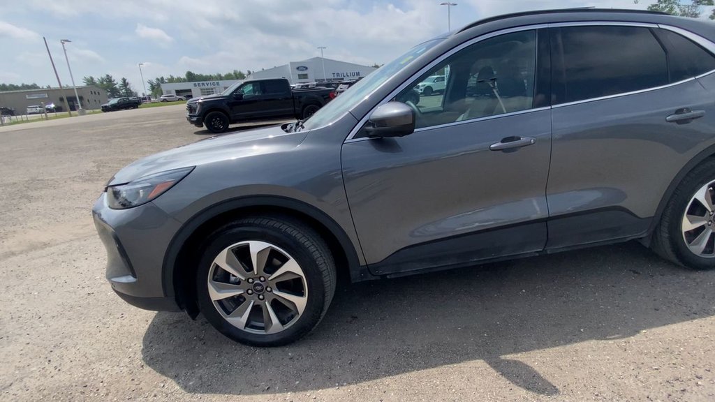 Ford Escape Platinum 2024 à Alliston, Ontario - 9 - w1024h768px