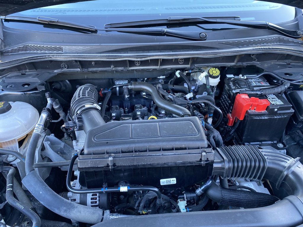 2024 Ford Escape ST-Line in Alliston, Ontario - 25 - w1024h768px