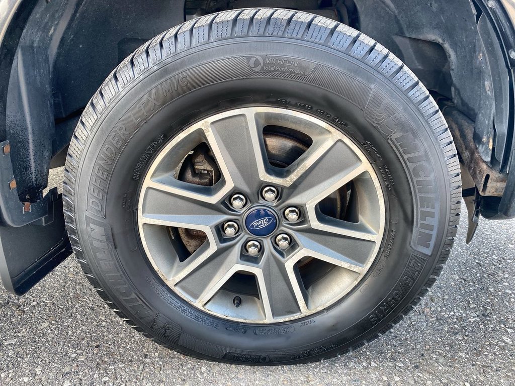 2015 Ford F-150 XLT in Alliston, Ontario - 10 - w1024h768px