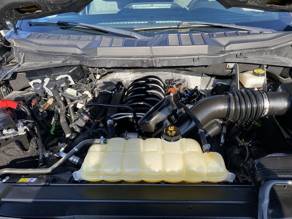 Ford F-150 XLT 2021 à Alliston, Ontario - 24 - w1024h768px