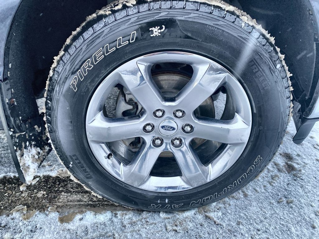 2021 Ford F-150 LARIAT in Alliston, Ontario - 10 - w1024h768px