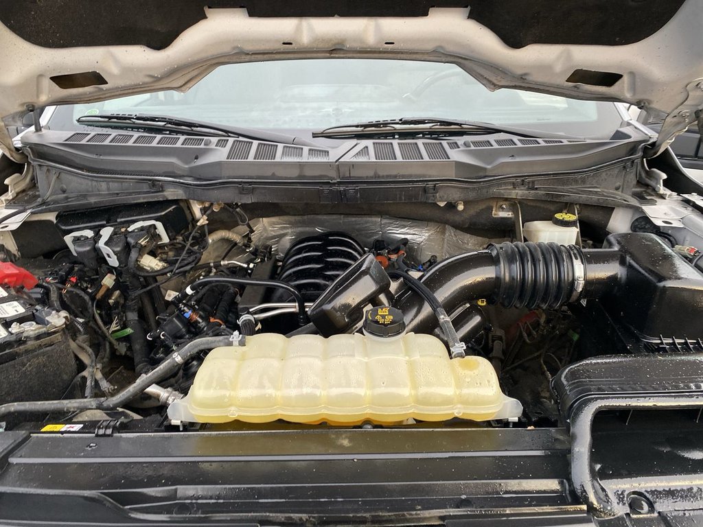 Ford F-150 XLT 2022 à Alliston, Ontario - 25 - w1024h768px