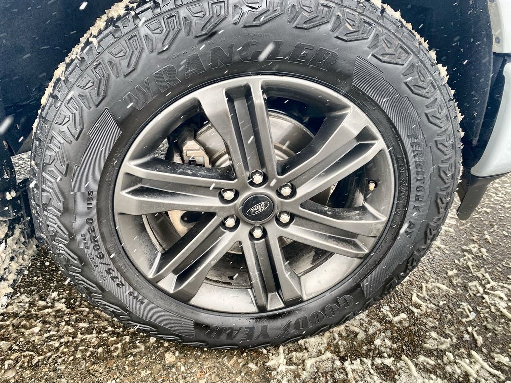 2022 Ford F-150 XLT in Alliston, Ontario - 10 - w1024h768px