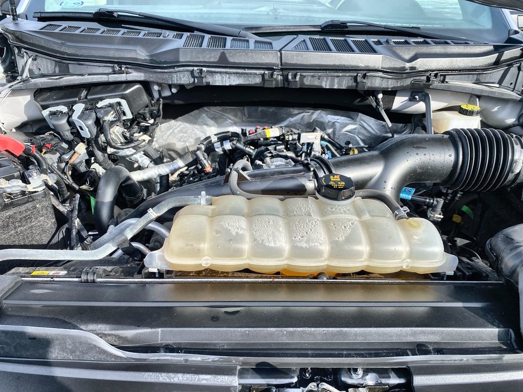 Ford F-150 XLT 2022 à Alliston, Ontario - 24 - w1024h768px