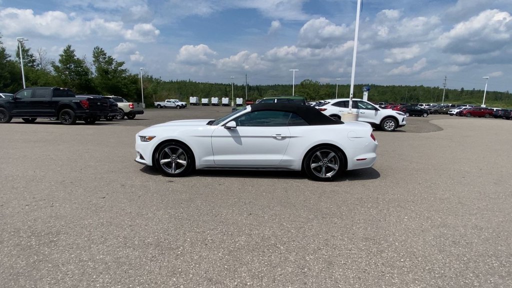 Ford Mustang V6 2017 à Alliston, Ontario - 5 - w1024h768px