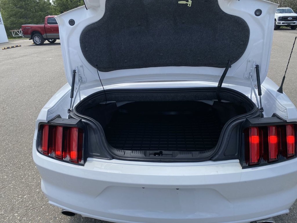 Ford Mustang V6 2017 à Alliston, Ontario - 23 - w1024h768px