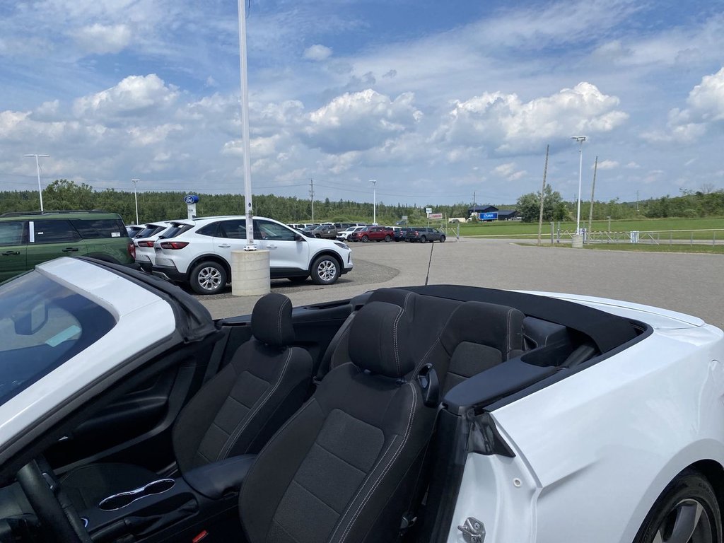Ford Mustang V6 2017 à Alliston, Ontario - 21 - w1024h768px