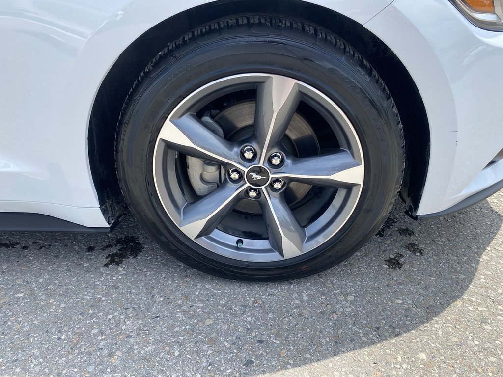 Ford Mustang V6 2017 à Alliston, Ontario - 10 - w1024h768px