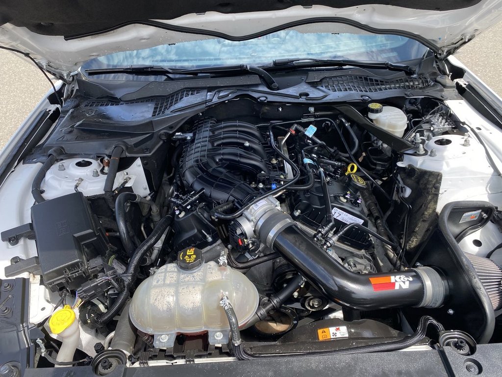 Ford Mustang V6 2017 à Alliston, Ontario - 25 - w1024h768px