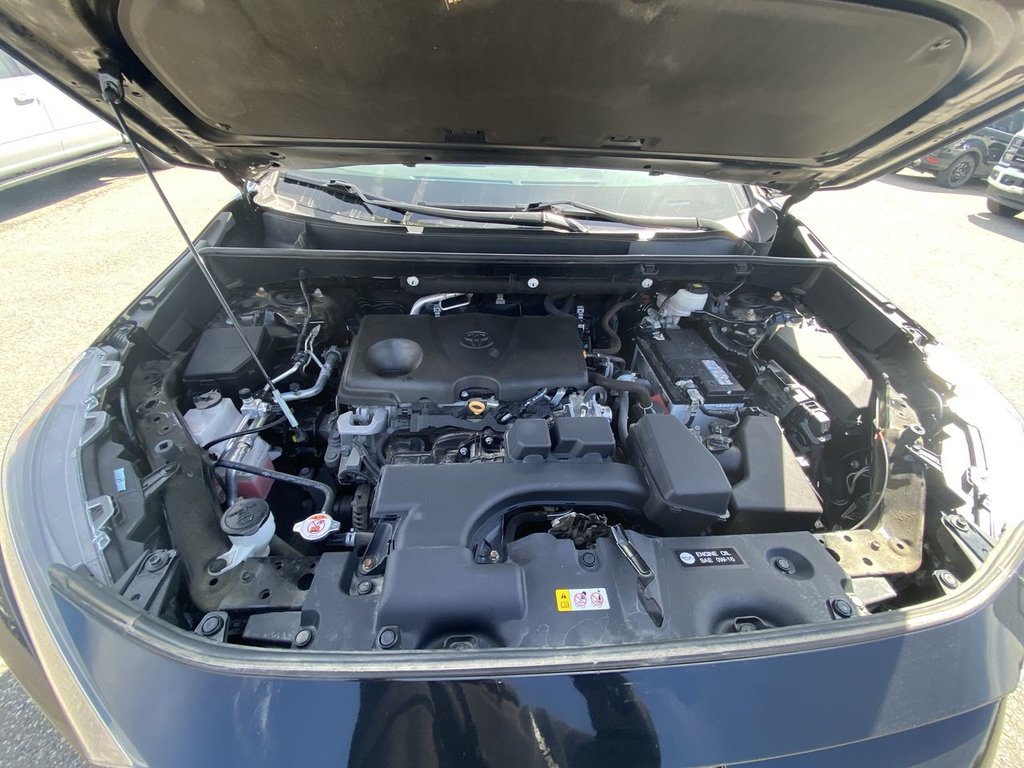 Toyota RAV4 LE 2022 à Alliston, Ontario - 24 - w1024h768px