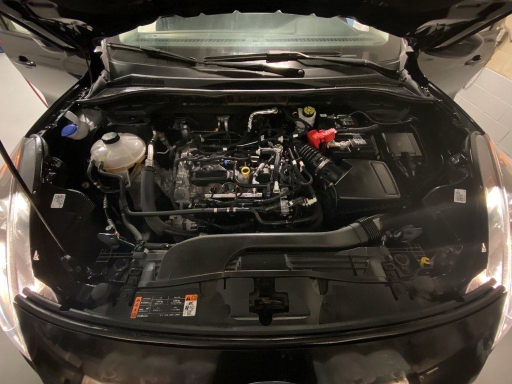 2021 Ford Escape SEL in Alliston, Ontario - 24 - w1024h768px