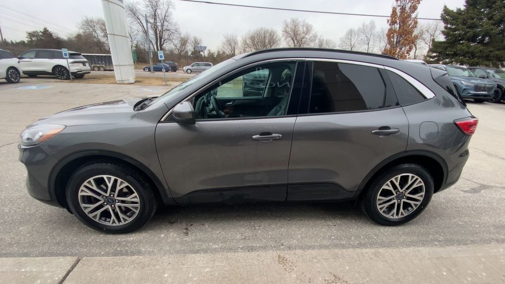 2021 Ford Escape SEL in Alliston, Ontario - 5 - w1024h768px