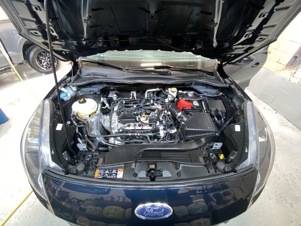 Ford Escape SE 2021 à Alliston, Ontario - 24 - w1024h768px