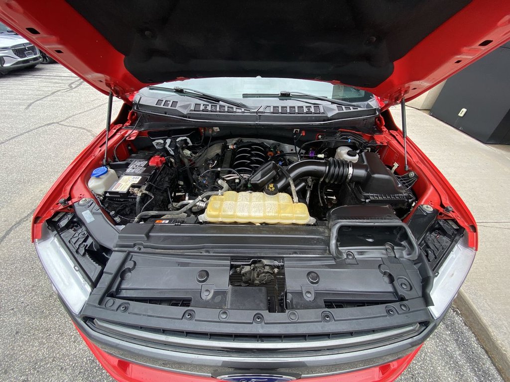 Ford F-150  2020 à Alliston, Ontario - 24 - w1024h768px