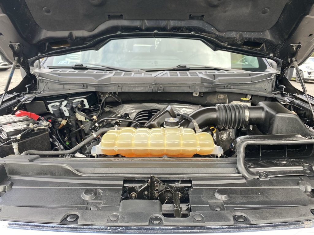 Ford F-150  2022 à Alliston, Ontario - 25 - w1024h768px