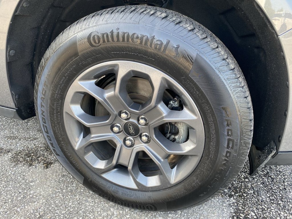2023 Ford Maverick in Alliston, Ontario - 10 - w1024h768px